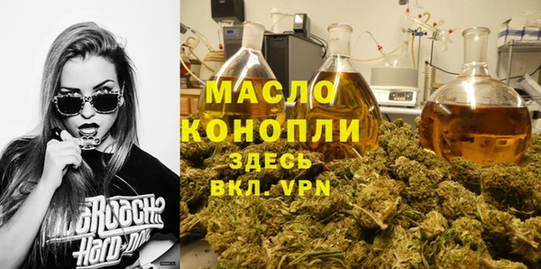 хмурый Арсеньев