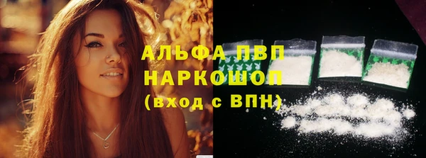 хмурый Арсеньев