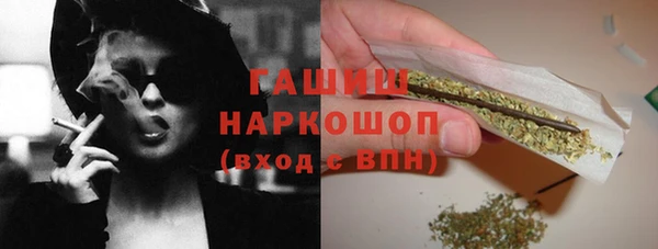 хмурый Арсеньев