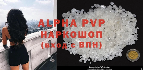 хмурый Арсеньев