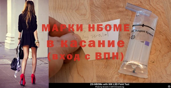 хмурый Арсеньев