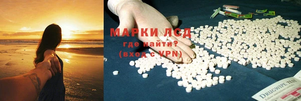 хмурый Арсеньев